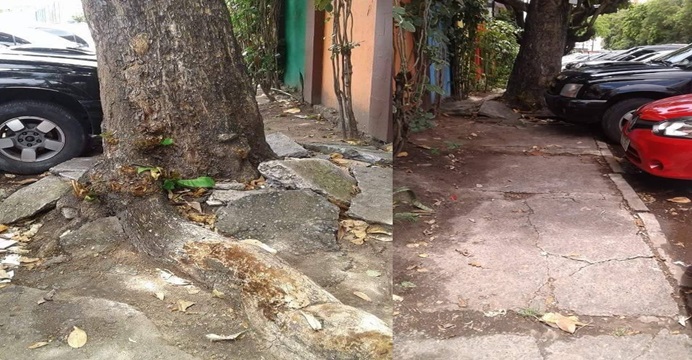 Descaso da Seman árvore destrói calçada em frente à escola e preocupa moradores do Imbuí