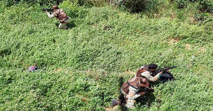 Polícia encontra plantação com 200 mil pés de maconha em Curaçá e Abaré