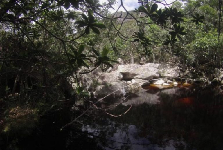 Encontrada ossada humana no Vale do Capão