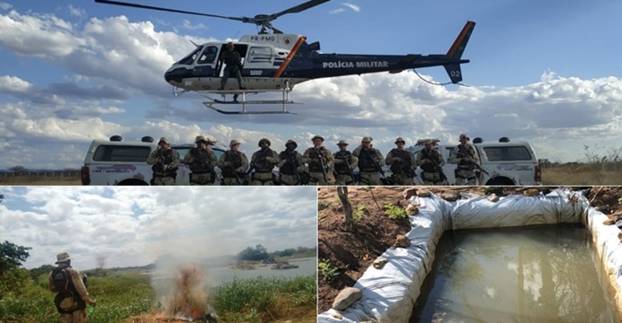 Operação policial encontra cerca de 12 toneladas de maconha no sertão baiano