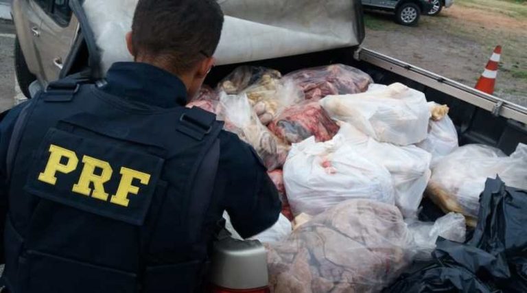 Carga de 700 kg de carne transportada de forma irregular em caminhonete sem refrigeração