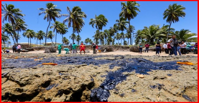 TRISTE REALIDADE “Manchas de óleo continuarão nas praias do Litoral Norte durante o Verão”, afirma equipes técnicas.