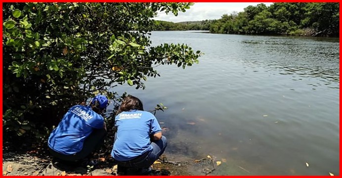 Manchas de óleo aparecem na foz do Rio Joanes e Ibama é acionado; rio abastece toda região de Salvador