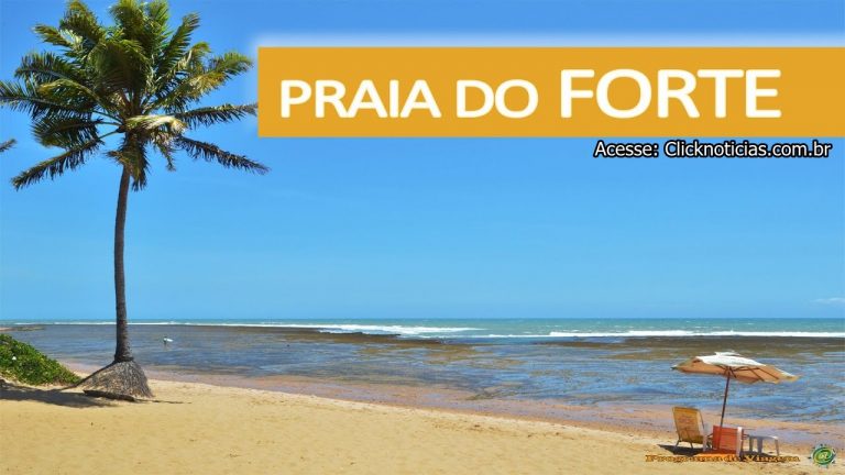 Quer ir em Praia do Forte, comer? A partir de sábado os restaurantes já iram funcionar