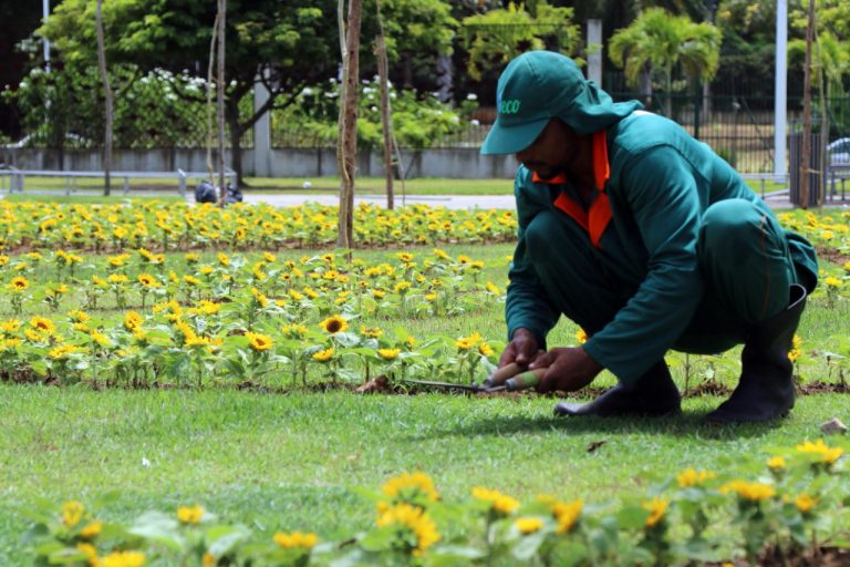 Primavera inspira cuidados com a saúde mental