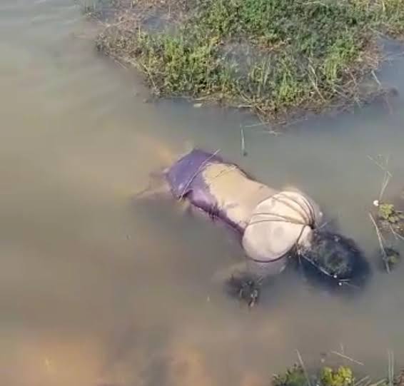 Mulher morta é encontrada por pescadores na orla da Pituba, a vítima estava sem roupa