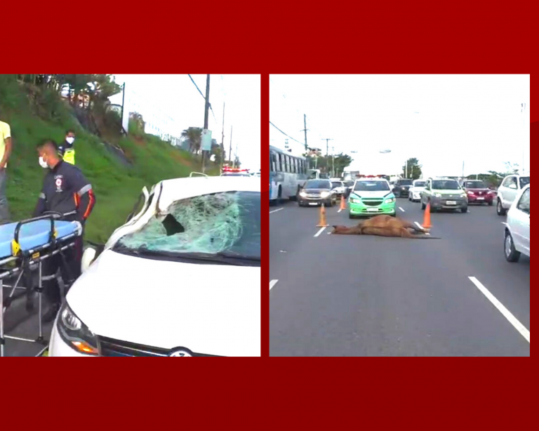 Aconteceu agora! Acidente envolvendo carro e moto para trânsito na avenida paralela