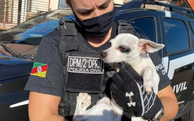 Cachorro lombrado! Dono é preso por barrunfar maconha no cão, diariamente