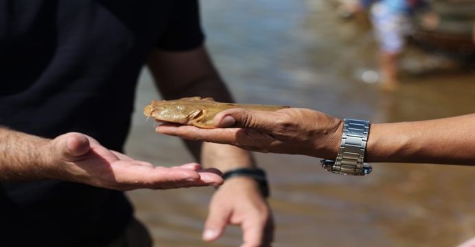 Governo Federal: Codevasf entrega peixamento em Nossa Senhora de Lourdes para celebrar Dia do Pescador