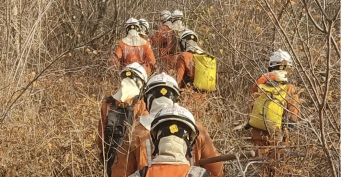 Bombeiros lutam contra incêndios florestais em 16 cidades baianas