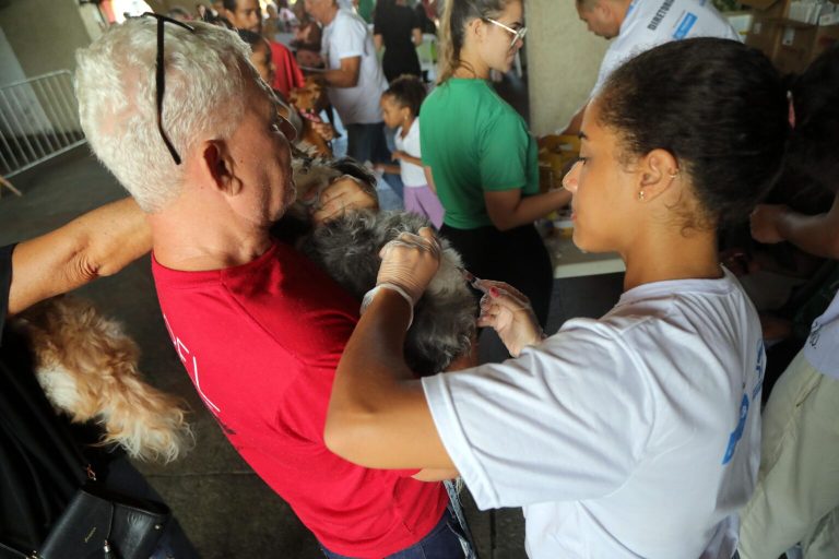 Secis promove aplicação gratuita de vacina V10 para cães no Parque da Cidade